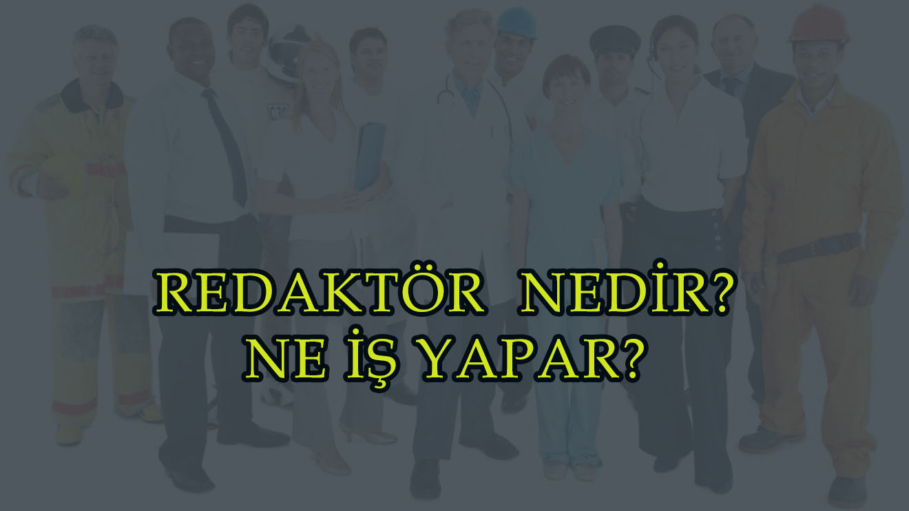 REDAKTÖR NEDİR