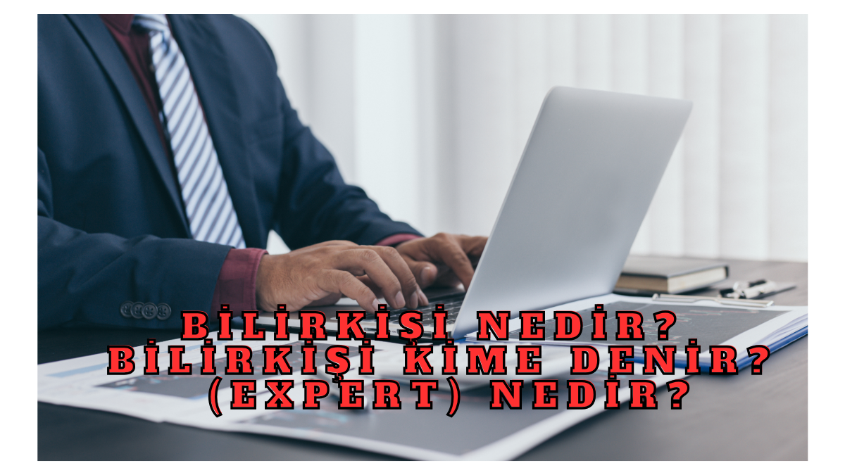 BİLİRKİŞİ NEDİR